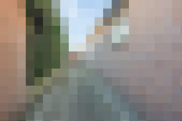 De Savornin Lohmanlaan 26 Vlijmen thumbnail 49
