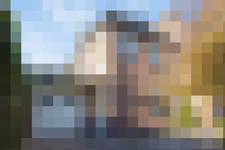 De Savornin Lohmanlaan 26 Vlijmen thumbnail 5