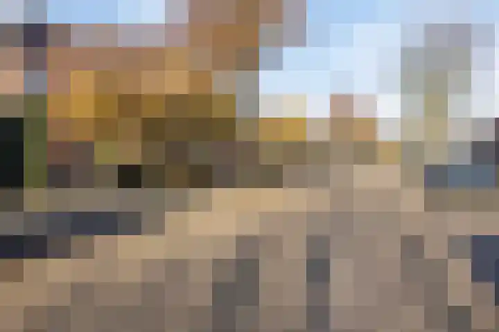 De Savornin Lohmanlaan 26 Vlijmen thumbnail 50