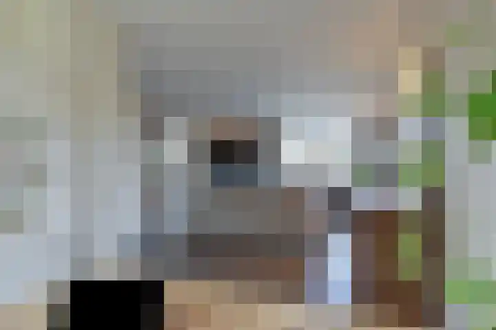 De Savornin Lohmanlaan 26 Vlijmen thumbnail 9