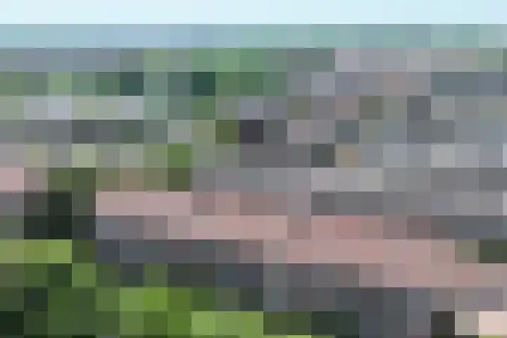 De Savornin Lohmanlaan 260 Den Haag thumbnail 30
