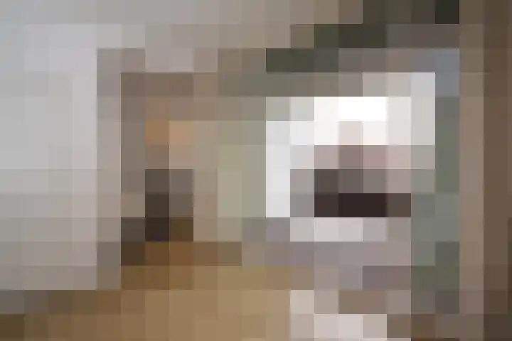 De Savornin Lohmanlaan 260 Den Haag thumbnail 4