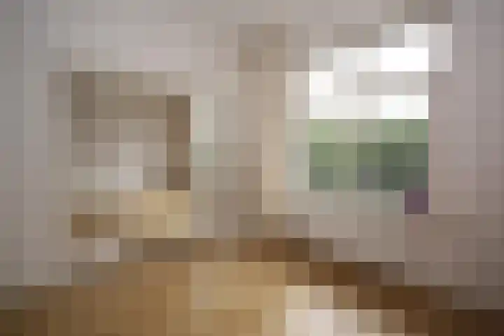 De Savornin Lohmanlaan 260 Den Haag thumbnail 5