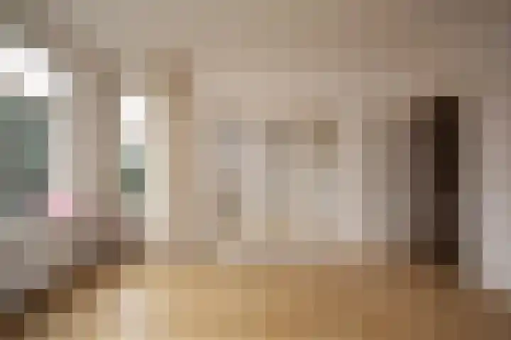 De Savornin Lohmanlaan 260 Den Haag thumbnail 6
