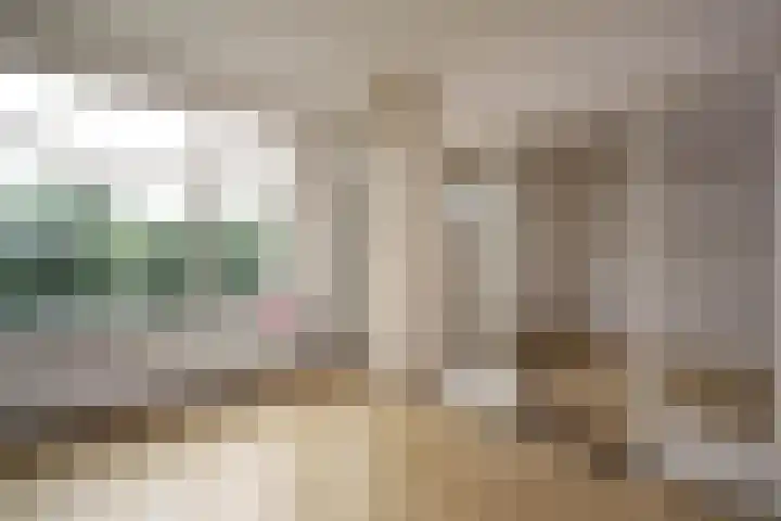 De Savornin Lohmanlaan 260 Den Haag thumbnail 8
