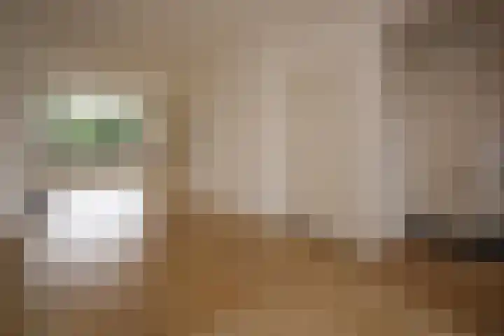 De Savornin Lohmanlaan 260 Den Haag thumbnail 9
