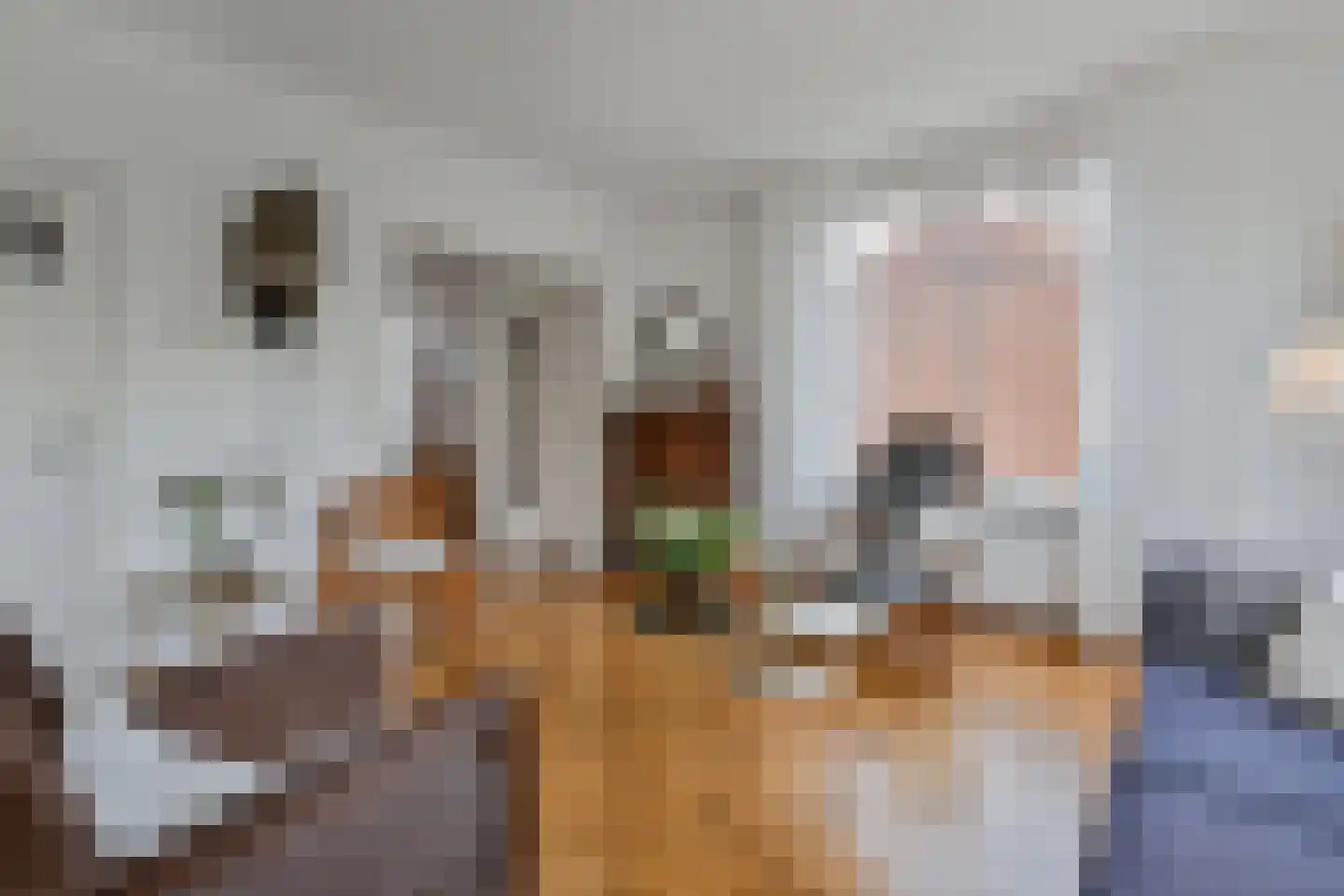 De Savornin Lohmanlaan 272 Den Haag thumbnail 17