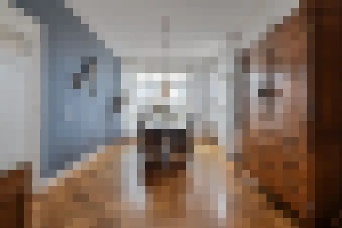 De Savornin Lohmanlaan 272 Den Haag thumbnail 19