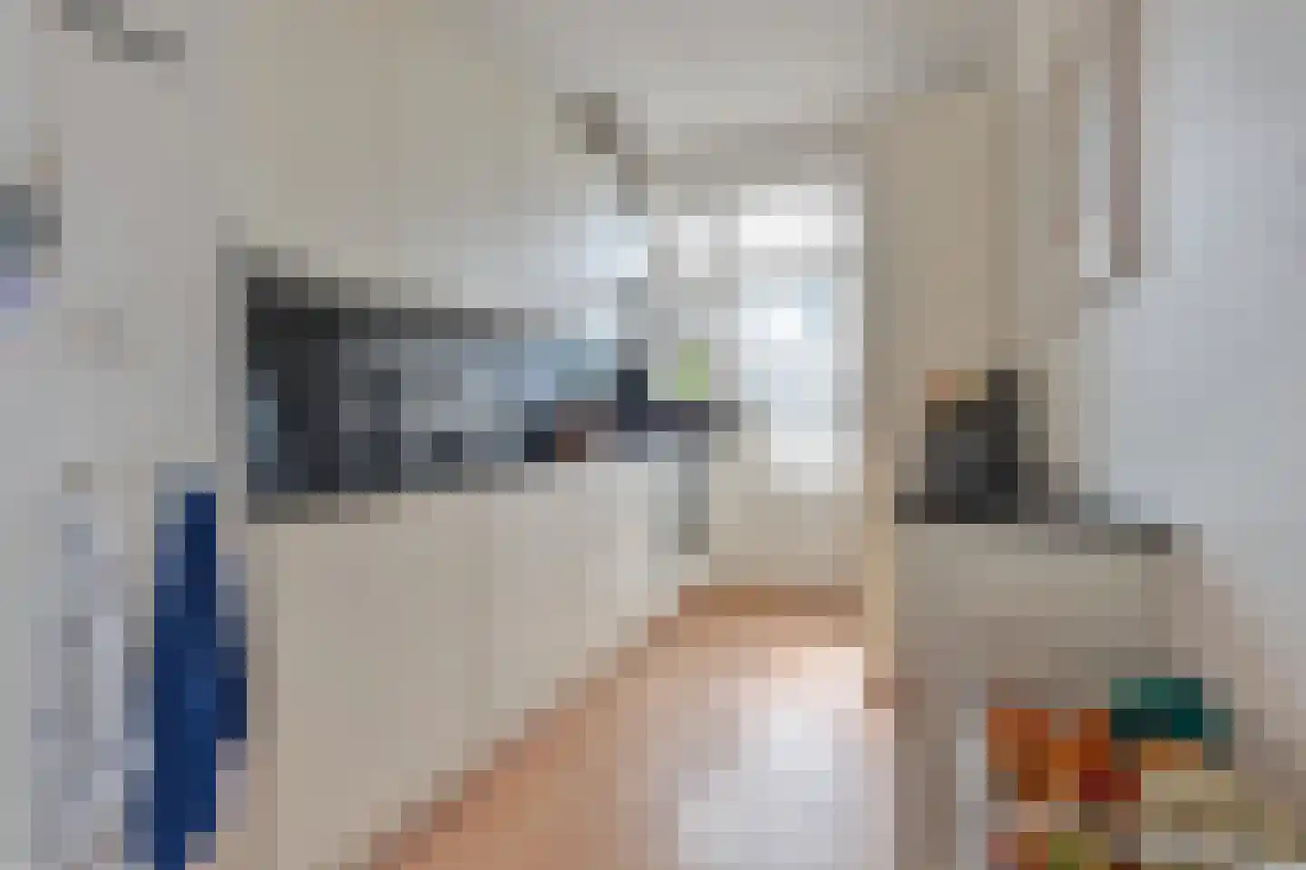 De Savornin Lohmanlaan 272 Den Haag thumbnail 24