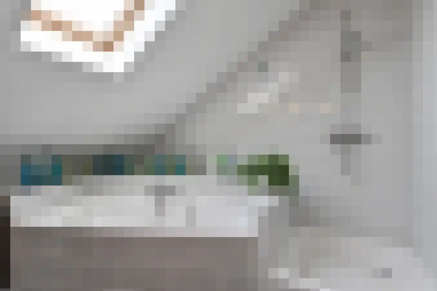 De Savornin Lohmanlaan 272 Den Haag thumbnail 36