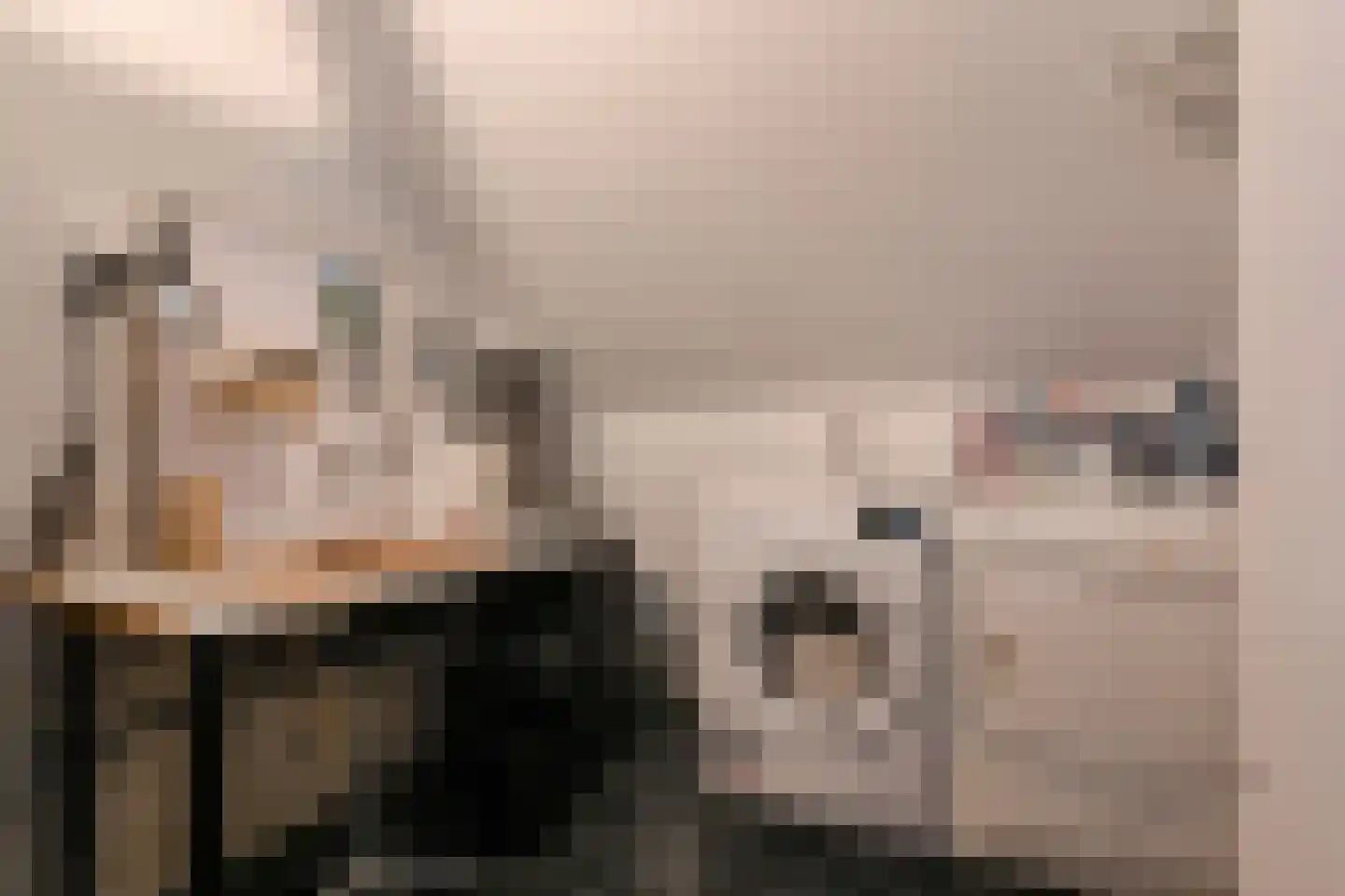 De Savornin Lohmanlaan 272 Den Haag thumbnail 38