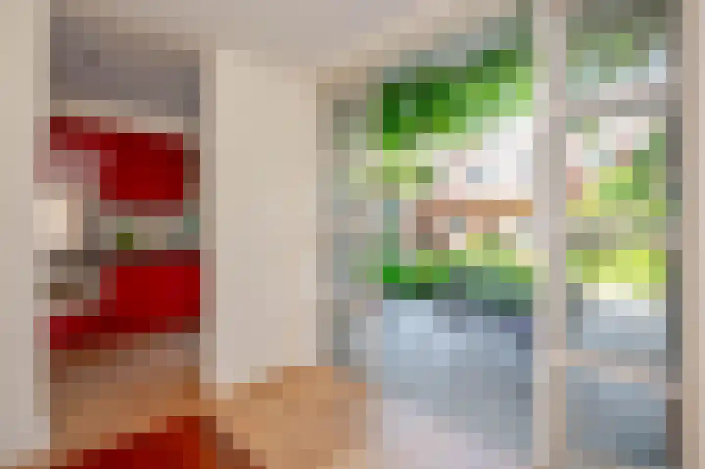 De Savornin Lohmanlaan 288 Den Haag thumbnail 26