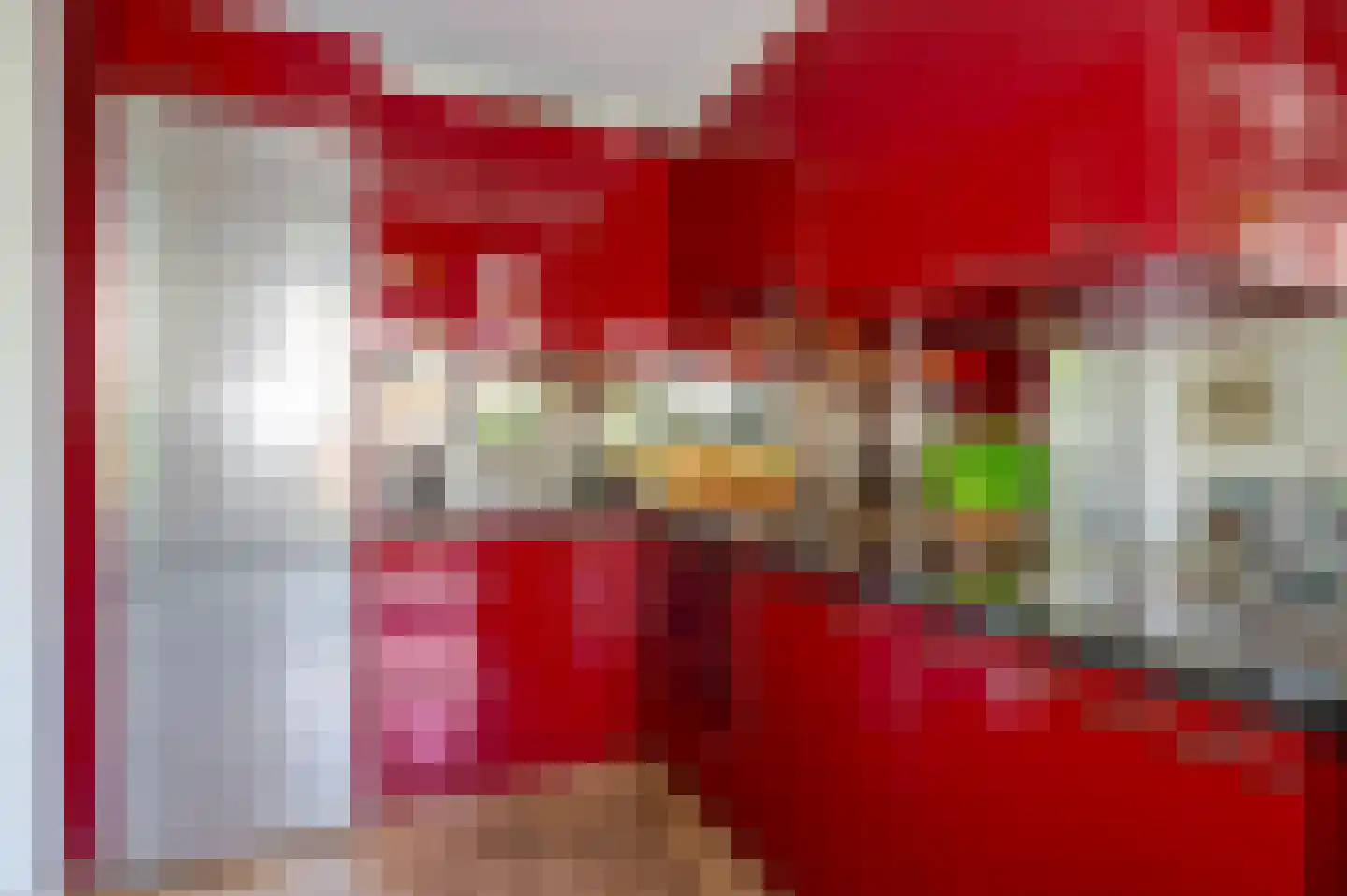 De Savornin Lohmanlaan 288 Den Haag thumbnail 29