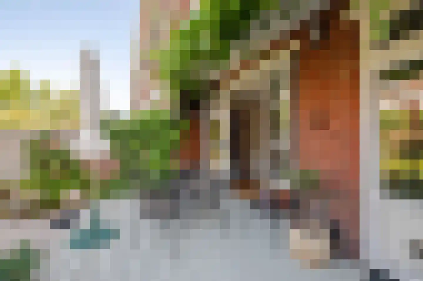 De Savornin Lohmanlaan 288 Den Haag thumbnail 33