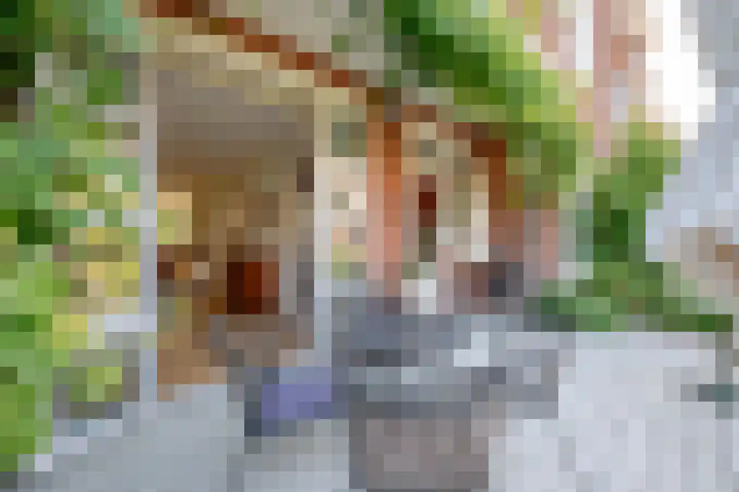 De Savornin Lohmanlaan 288 Den Haag thumbnail 34