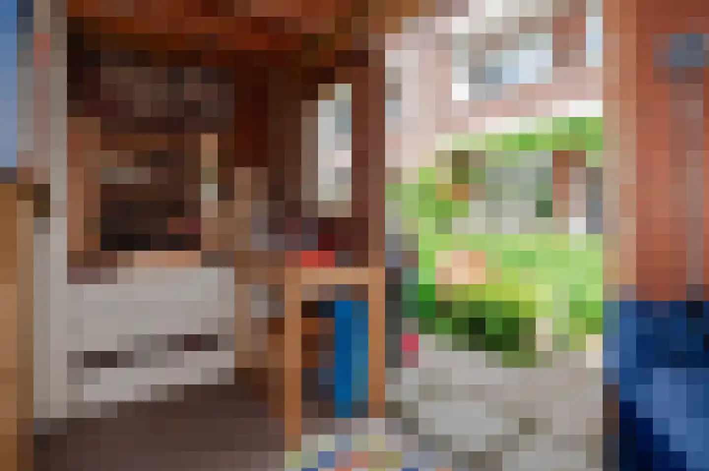 De Savornin Lohmanlaan 288 Den Haag thumbnail 46