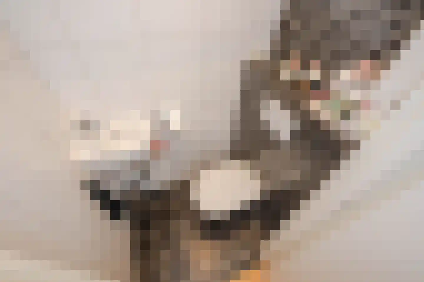 De Savornin Lohmanlaan 288 Den Haag thumbnail 58