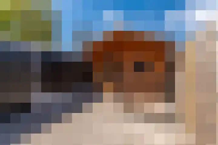 de Savornin Lohmanlaan 29 Oude Pekela thumbnail 11