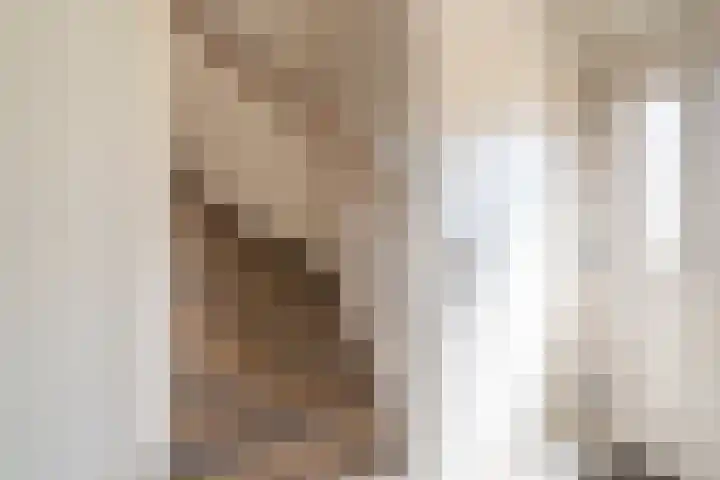 de Savornin Lohmanlaan 29 Oude Pekela thumbnail 15