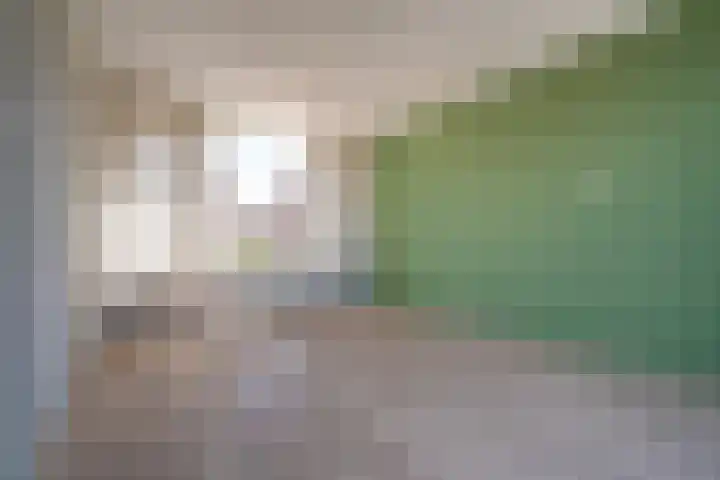 de Savornin Lohmanlaan 29 Oude Pekela thumbnail 21
