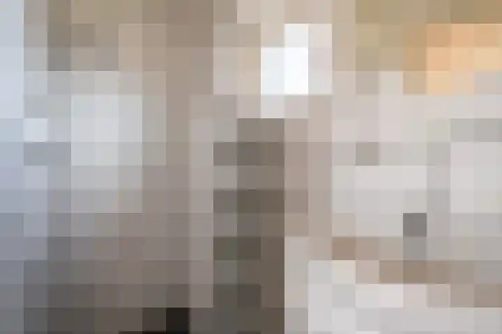 de Savornin Lohmanlaan 29 Oude Pekela thumbnail 34