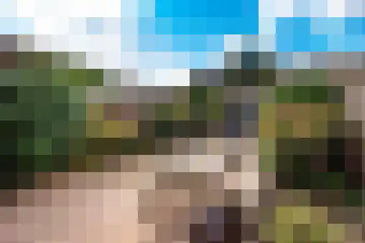 de Savornin Lohmanlaan 3 Baarn thumbnail 10