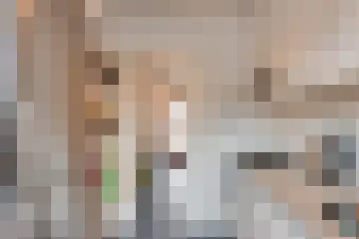 de Savornin Lohmanlaan 3 Baarn thumbnail 14