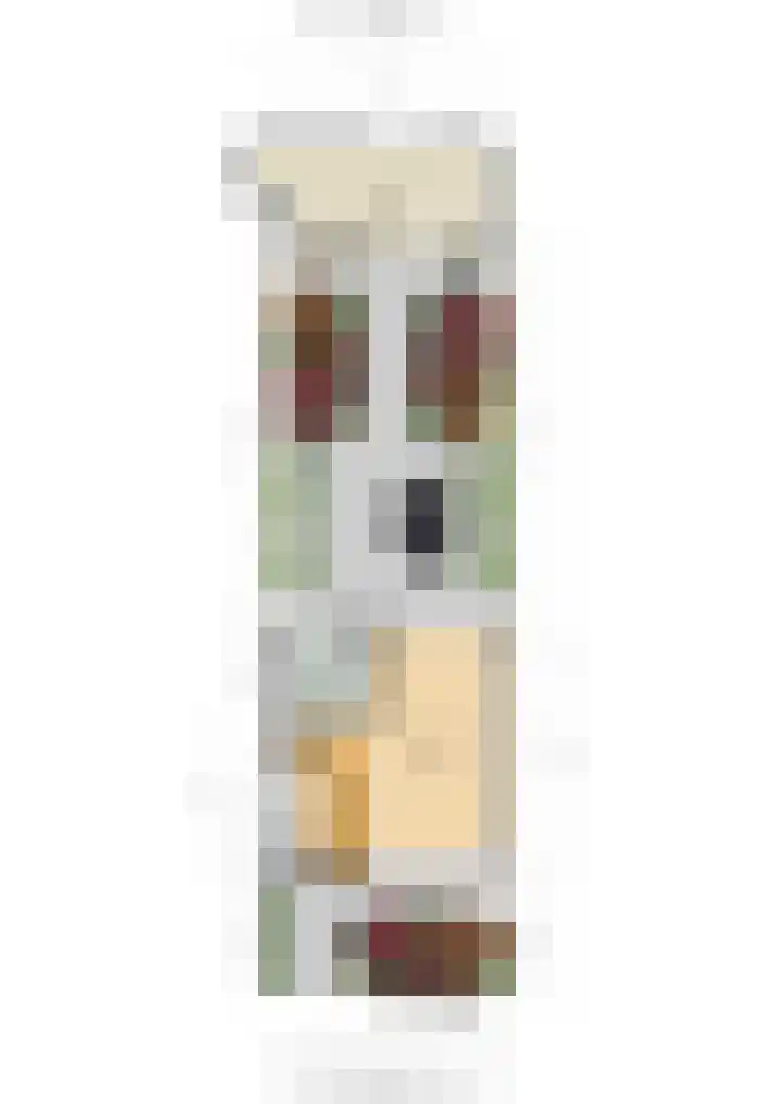 de Savornin Lohmanlaan 3 Baarn thumbnail 30