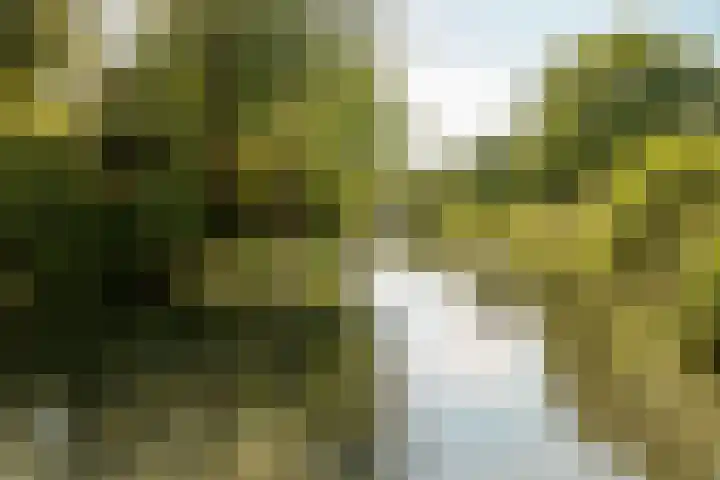 De Savornin Lohmanlaan 31 Amstelveen thumbnail 37