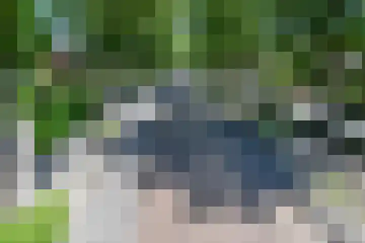 De Savornin Lohmanlaan 31 Amstelveen thumbnail 4