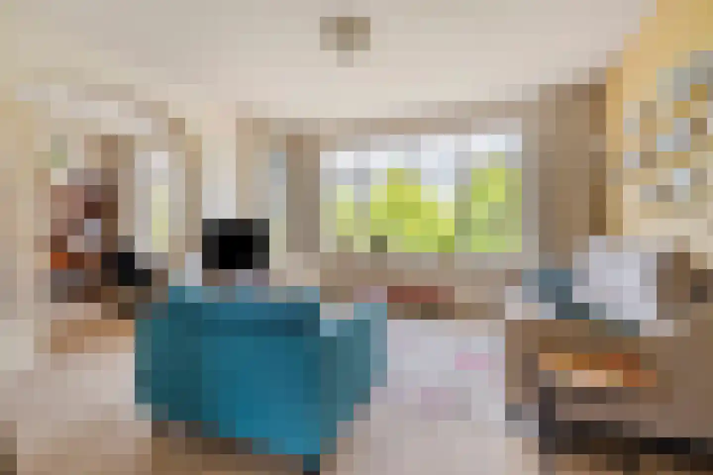 De Savornin Lohmanlaan 310 Den Haag thumbnail 15