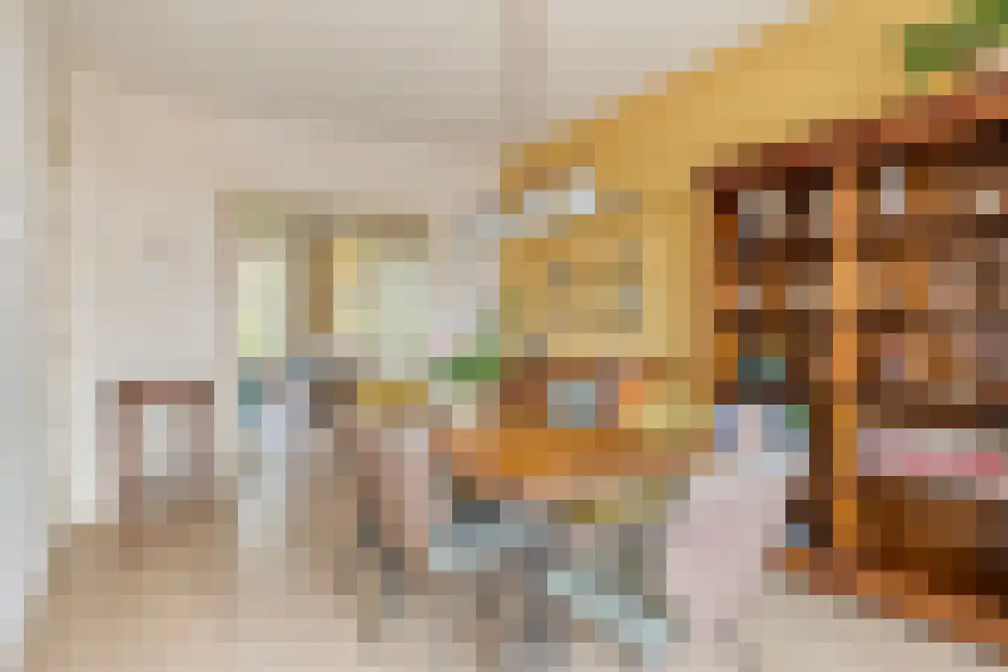 De Savornin Lohmanlaan 310 Den Haag thumbnail 4