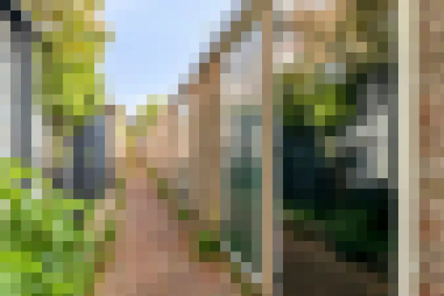 De Savornin Lohmanlaan 310 Den Haag thumbnail 43