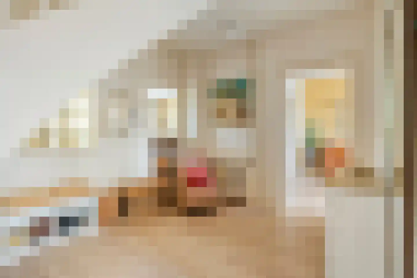 De Savornin Lohmanlaan 310 Den Haag thumbnail 8