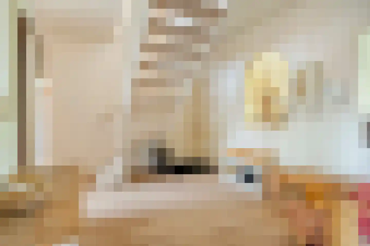 De Savornin Lohmanlaan 310 Den Haag thumbnail 9
