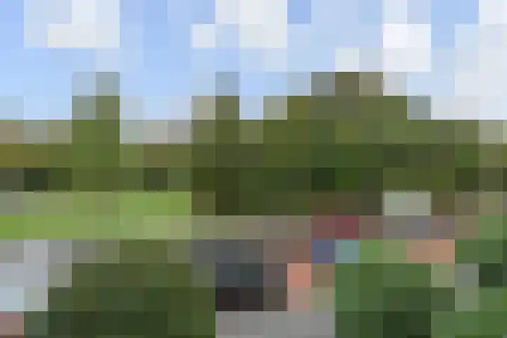 De Savornin Lohmanlaan 314 Den Haag thumbnail 10
