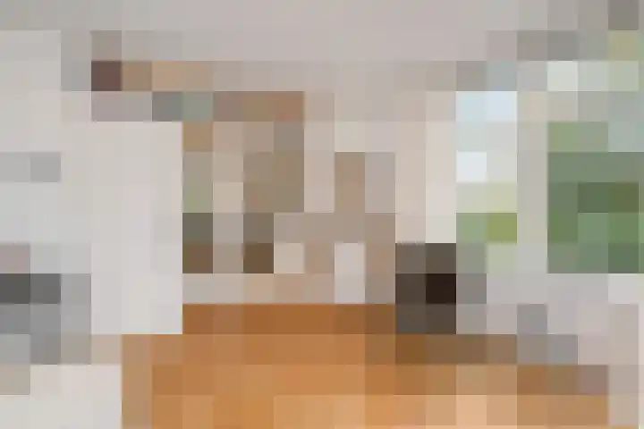 De Savornin Lohmanlaan 314 Den Haag thumbnail 12