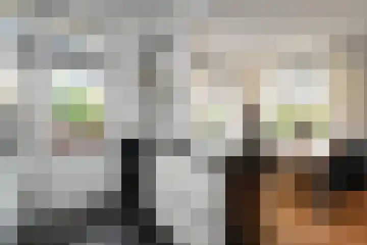 De Savornin Lohmanlaan 314 Den Haag thumbnail 18