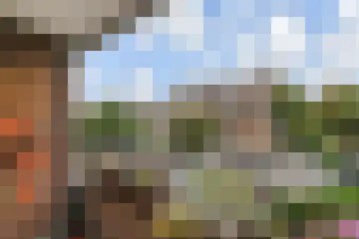 De Savornin Lohmanlaan 314 Den Haag thumbnail 21