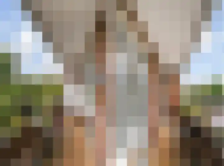 De Savornin Lohmanlaan 314 Den Haag thumbnail 22