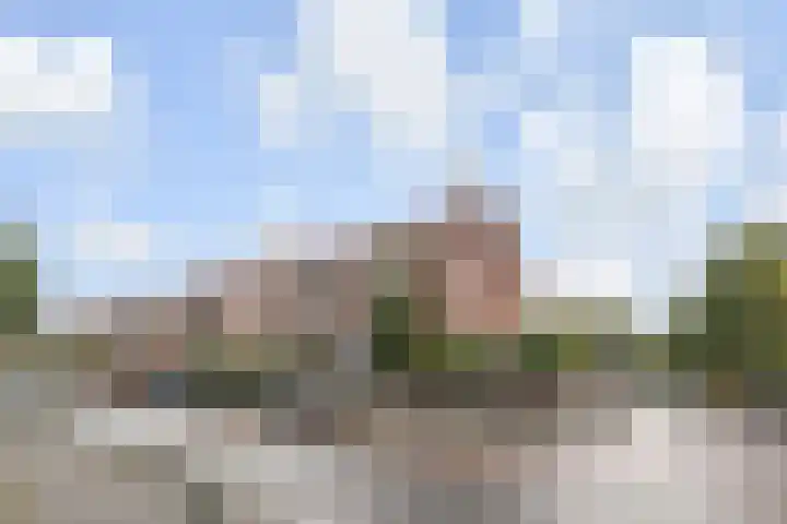 De Savornin Lohmanlaan 314 Den Haag thumbnail 29