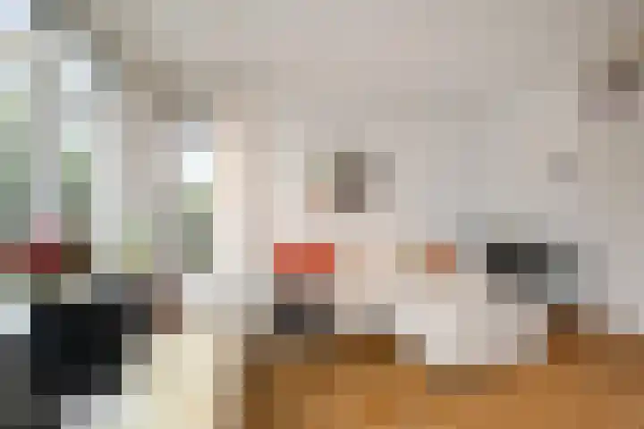 De Savornin Lohmanlaan 314 Den Haag thumbnail 7