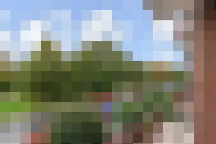 De Savornin Lohmanlaan 314 Den Haag thumbnail 8