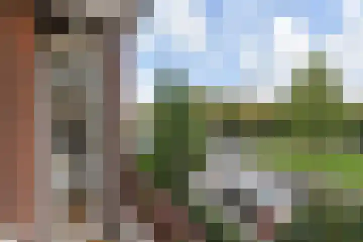 De Savornin Lohmanlaan 314 Den Haag thumbnail 9