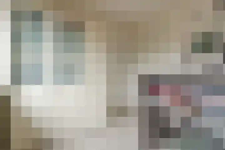 De Savornin Lohmanlaan 34 Harderwijk thumbnail 25