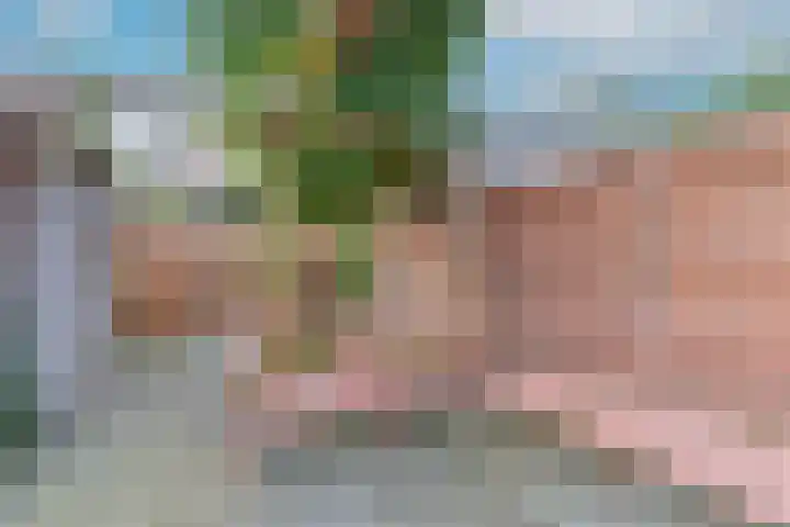 De Savornin Lohmanlaan 34 Harderwijk thumbnail 32