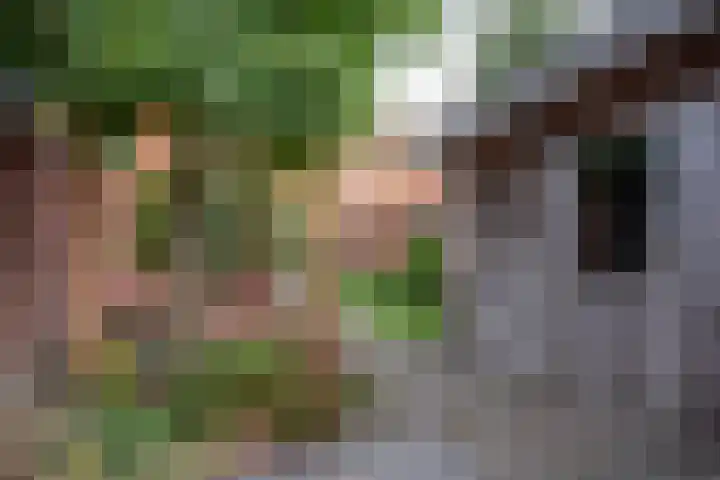 De Savornin Lohmanlaan 34 Harderwijk thumbnail 33