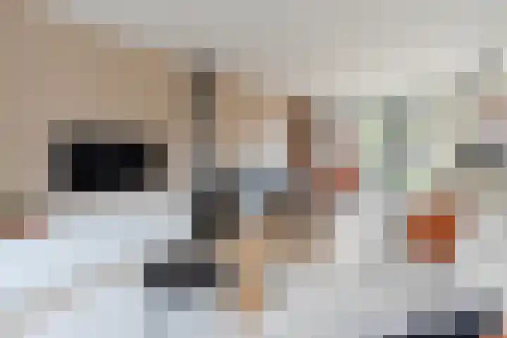 De Savornin Lohmanlaan 34 Harderwijk thumbnail 9