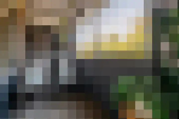 De Savornin Lohmanlaan 36 Zeist thumbnail 15