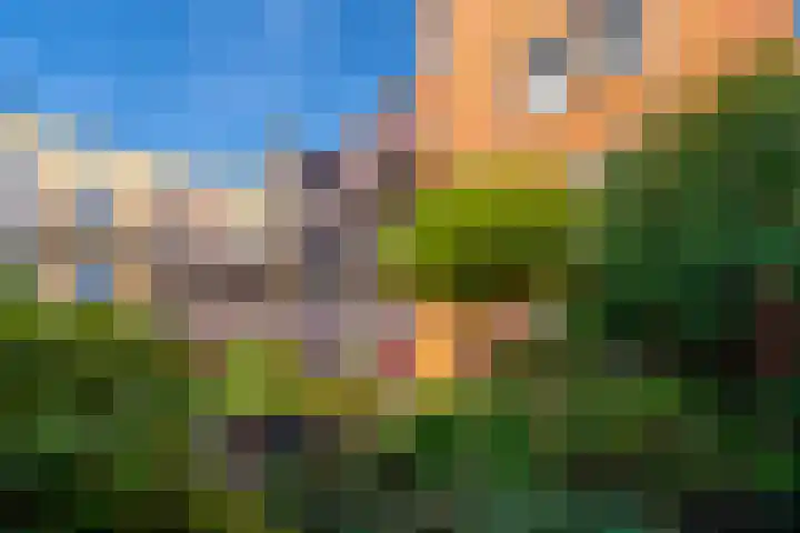 De Savornin Lohmanlaan 36 Zeist thumbnail 17